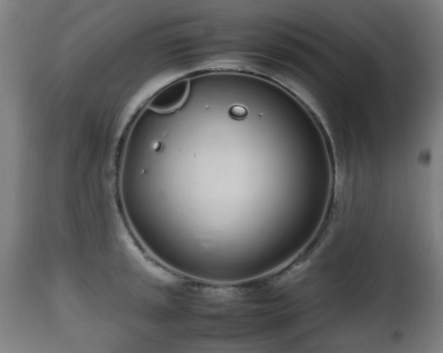 X0000112491045200908241321