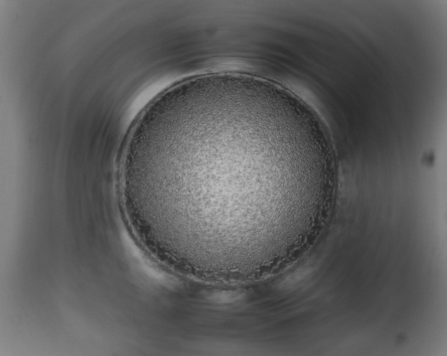 X0000112491047200908241321