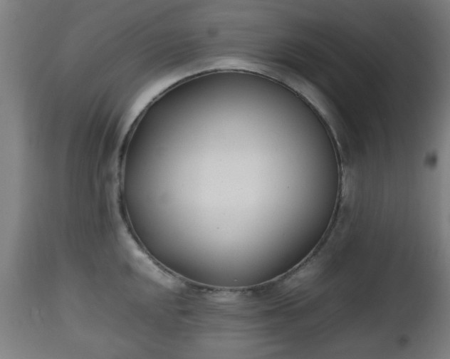 X0000112491048200908241321