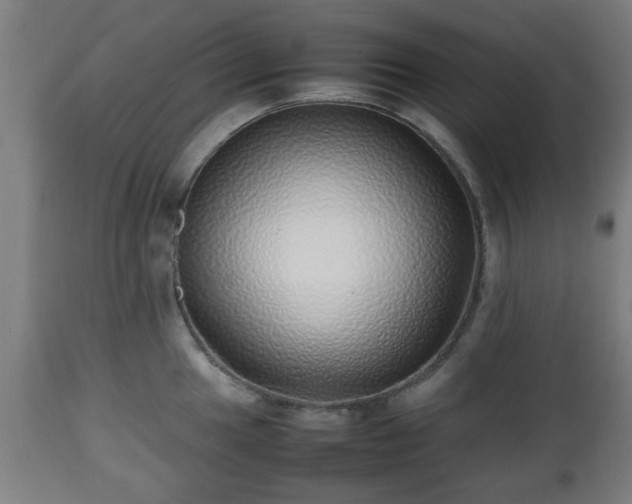 X0000112491049200908241321