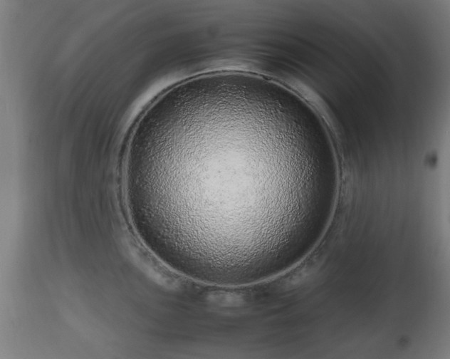 X0000112491051200908241321