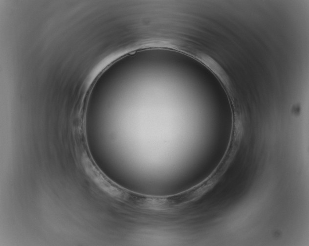 X0000112491052200908241321