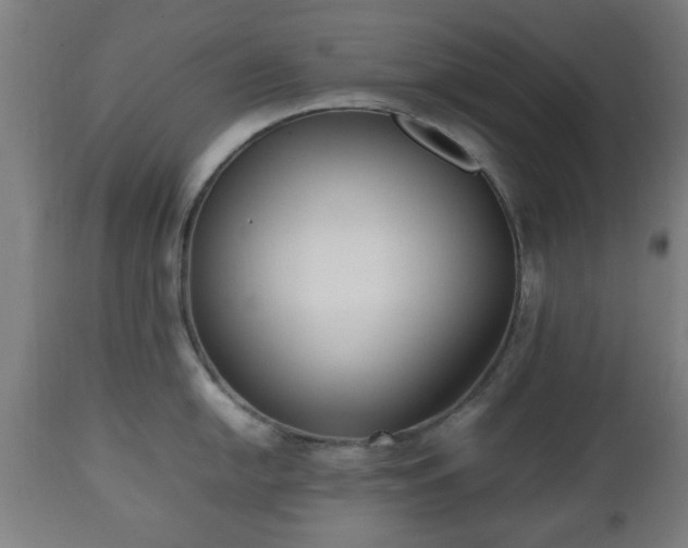 X0000112491054200908241321