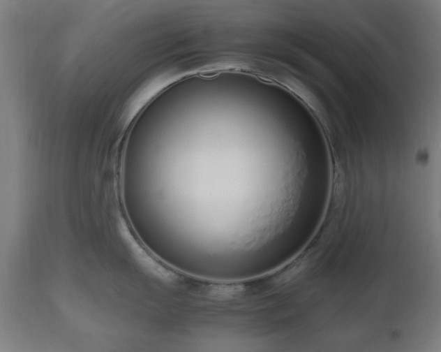 X0000112491055200908241321