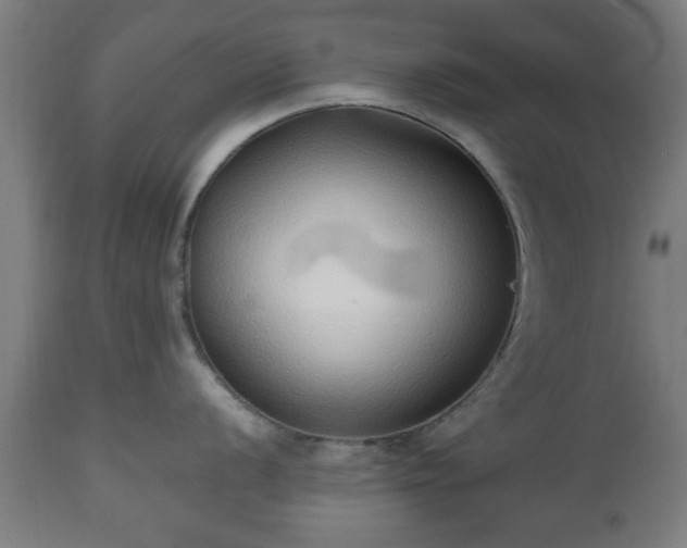 X0000112491056200908241321