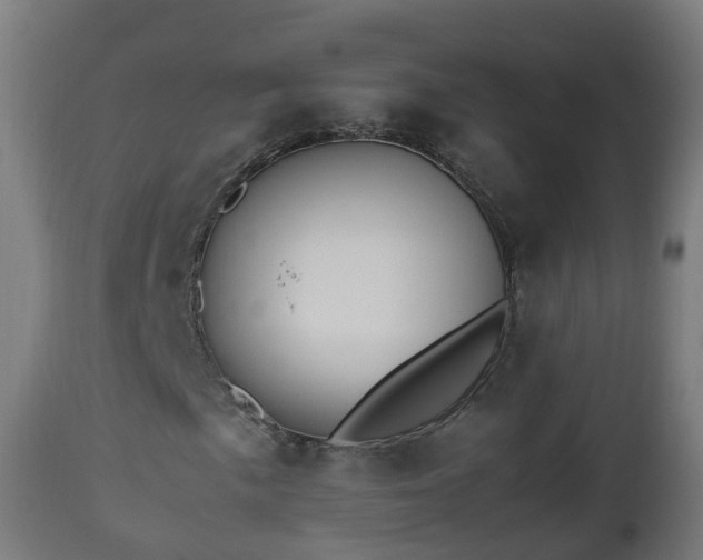 X0000112491057200908241320