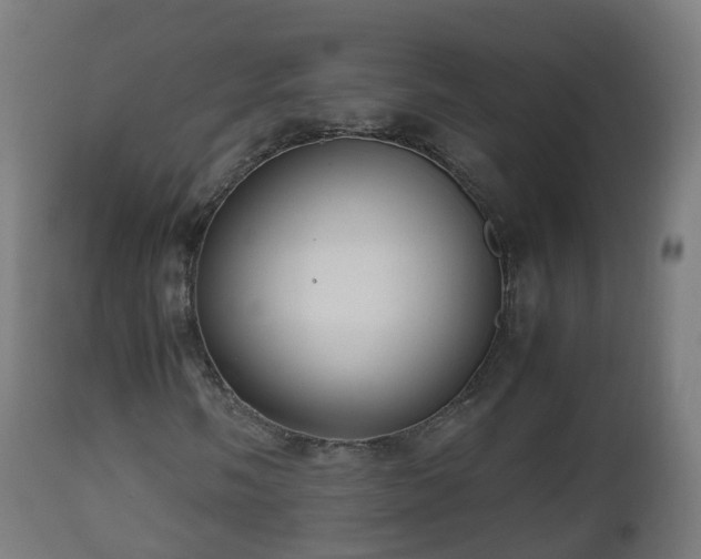 X0000112491058200908241320