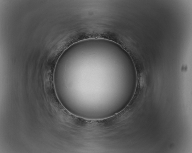 X0000112491059200908241320