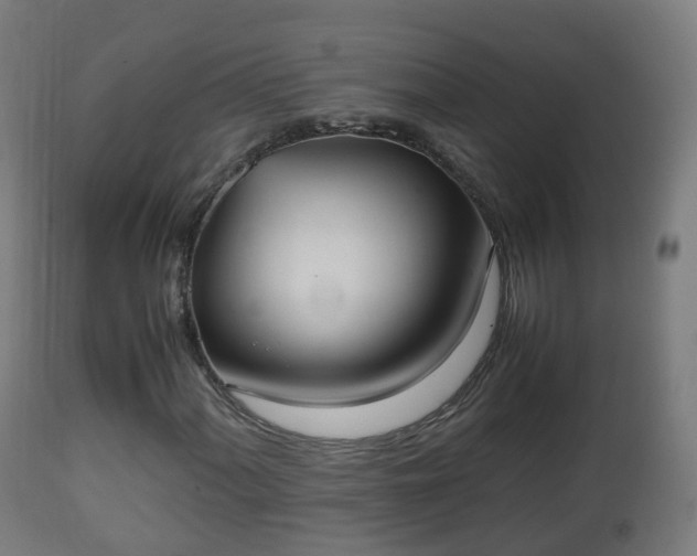 X0000112491060200908241320