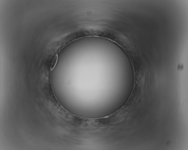 X0000112491061200908241320