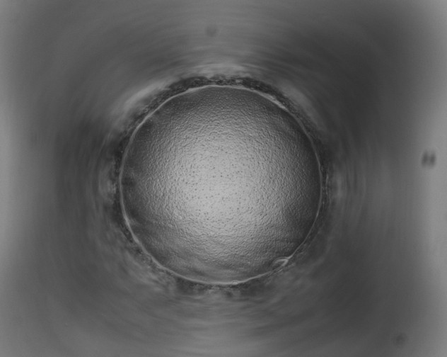 X0000112491063200908241320