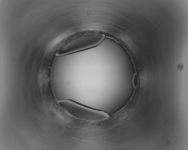 X0000112491064200908241320