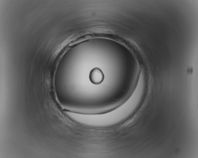 X0000112491065200908241320