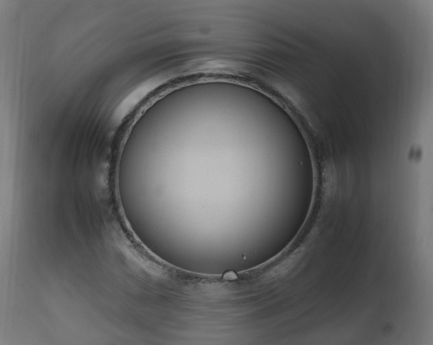 X0000112491066200908241320