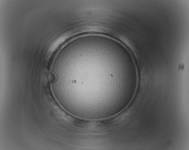 X0000112491067200908241320