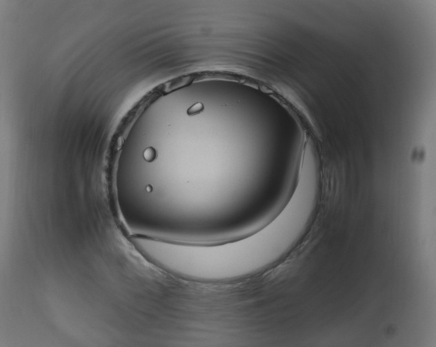 X0000112491068200908241320