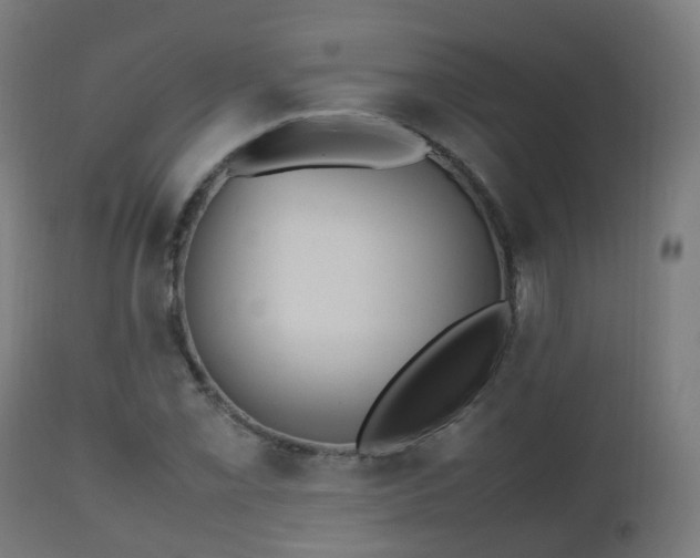 X0000112491069200908241320