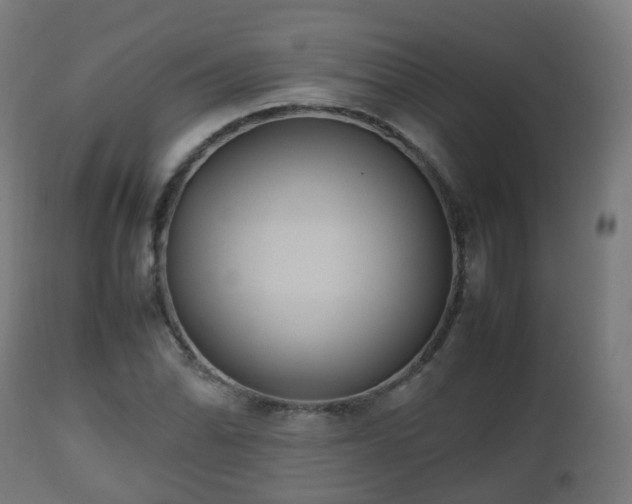 X0000112491070200908241320