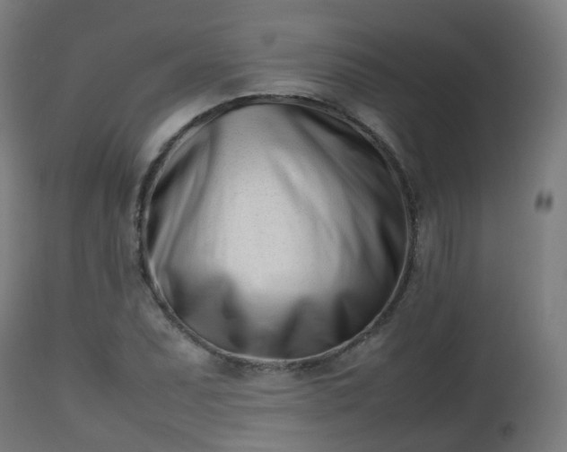 X0000112491071200908241320