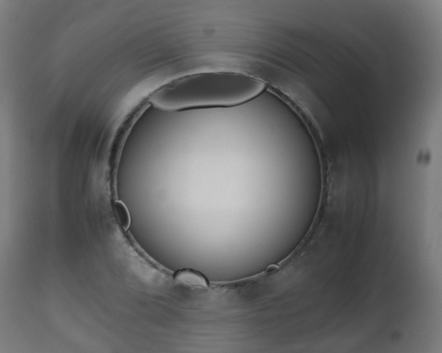 X0000112491072200908241320