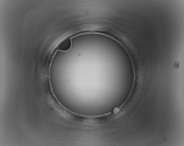 X0000112491073200908241320