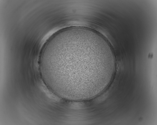 X0000112491074200908241320