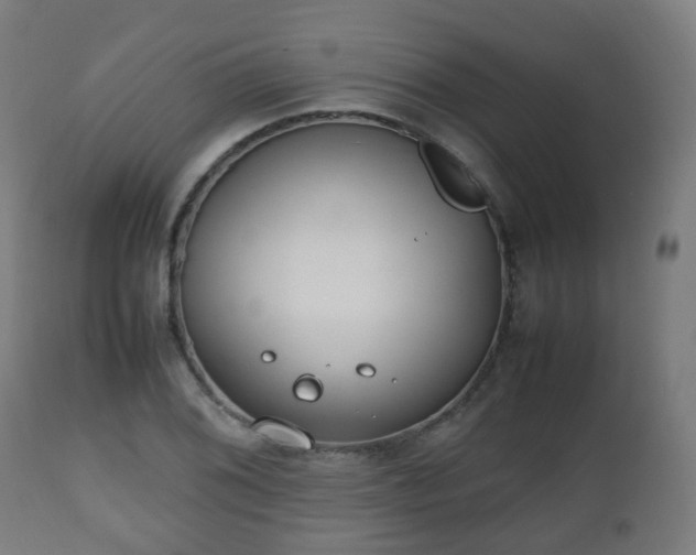 X0000112491076200908241320