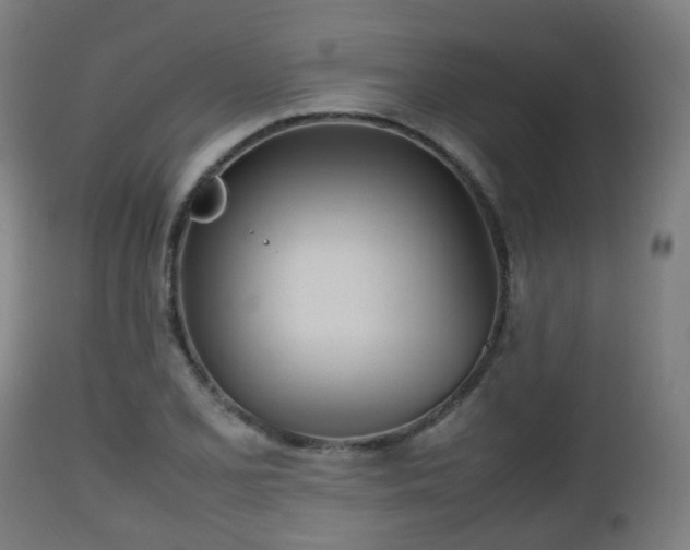 X0000112491077200908241320