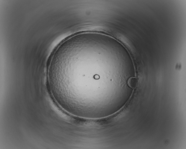 X0000112491079200908241320