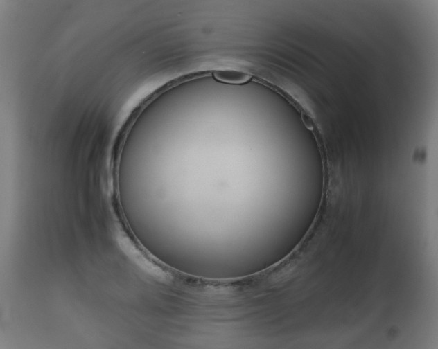 X0000112491080200908241320