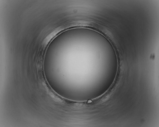 X0000112491081200908241320