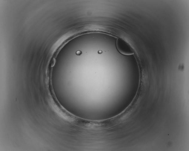 X0000112491082200908241320