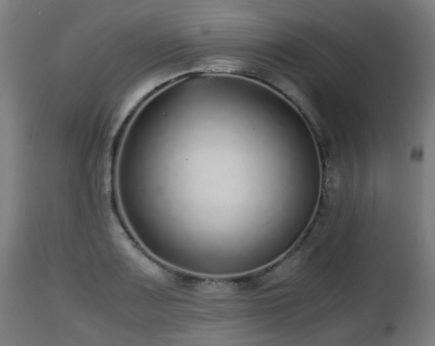 X0000112491083200908241320