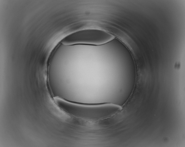 X0000112491084200908241320