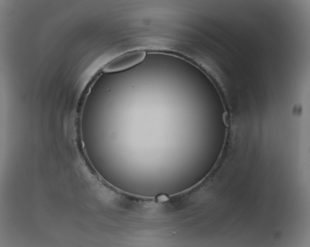 X0000112491085200908241320