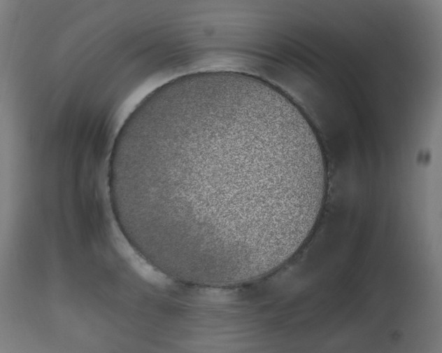 X0000112491086200908241320