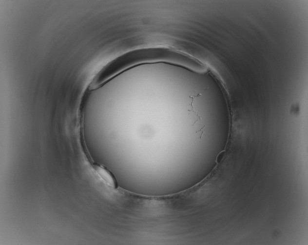 X0000112491088200908241320