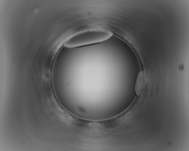 X0000112491089200908241320