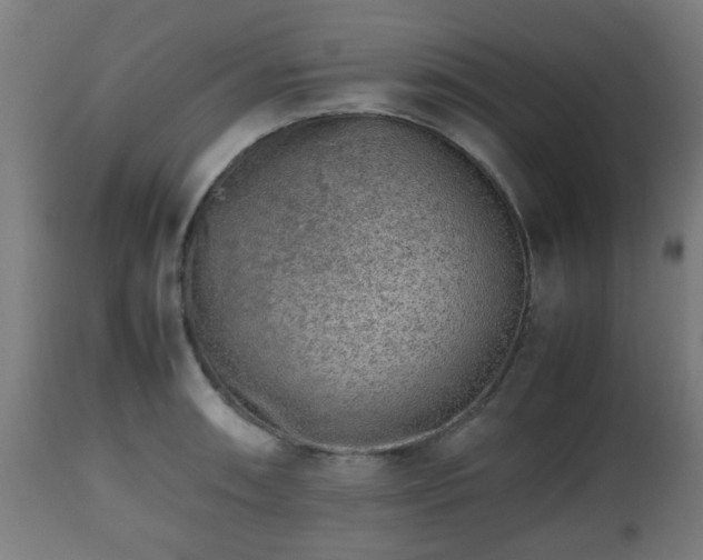 X0000112491090200908241320