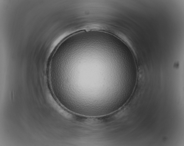 X0000112491091200908241320