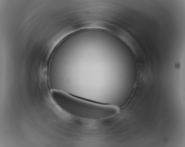 X0000112491092200908241320