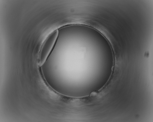 X0000112491093200908241320