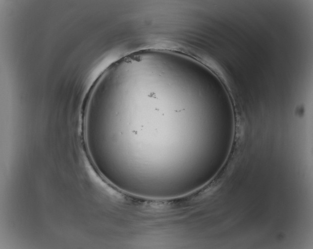 X0000112491095200908241320