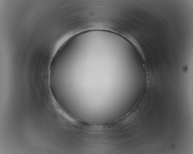 X0000112491096200908241320