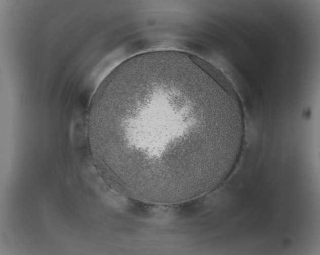 X0000112491097200908241320