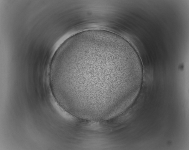 X0000112491098200908241320