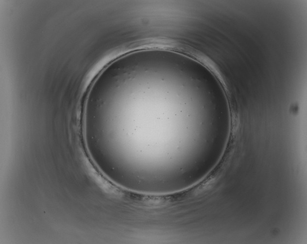 X0000112491099200908241320