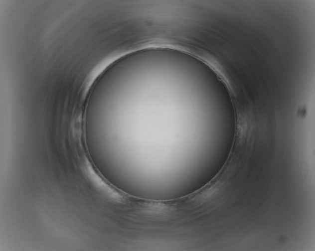 X0000112491100200908241320