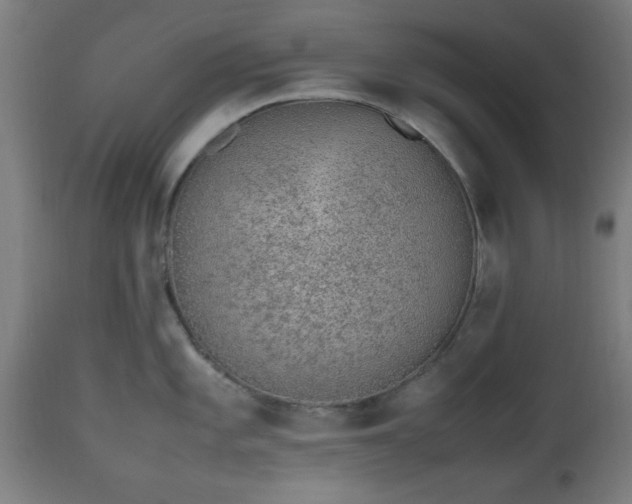 X0000112491101200908241320