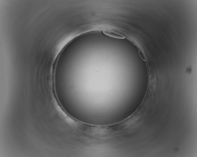 X0000112491103200908241320